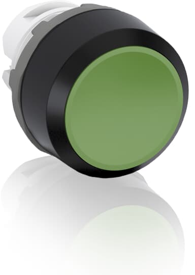 mp1-10g.jpg