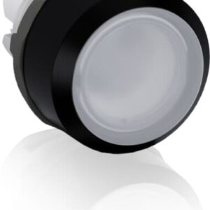 mp2-10c-1.jpg