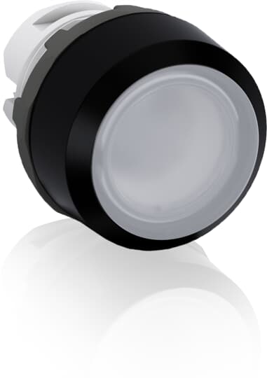 mp2-10c.jpg