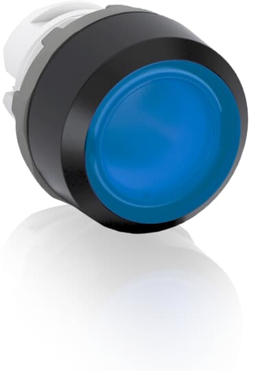 mp2-11l.jpg