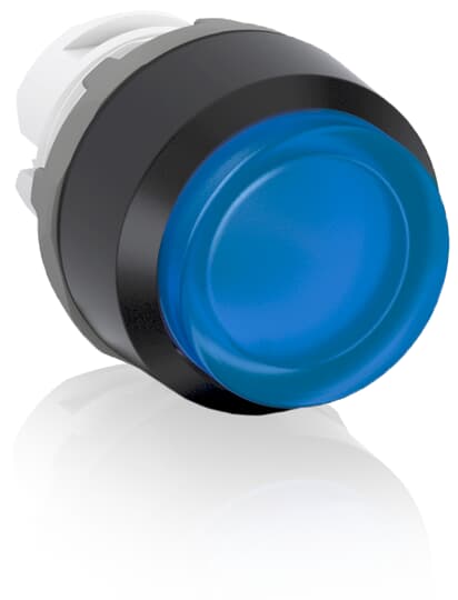 mp3-11l.jpg