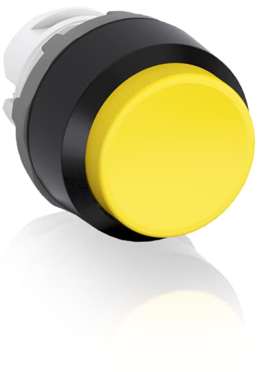 mp4-20y.jpg