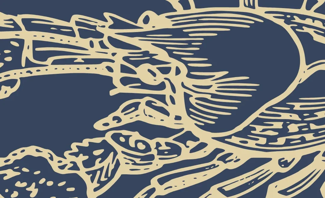 GOOD IN A PINCH – Keeping Lobsters Alive and Well with IMO