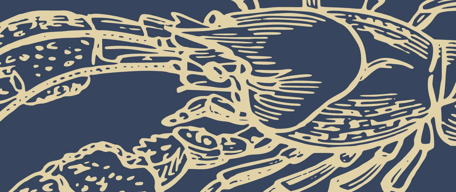 GOOD IN A PINCH – Keeping Lobsters Alive and Well with IMO