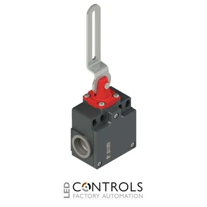 FZ 18C2-M2 Pizzato Safety switch with slotted hole lever