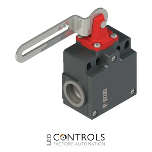 FZ 21C3-M2 Pizzato Safety switch with slotted hole lever