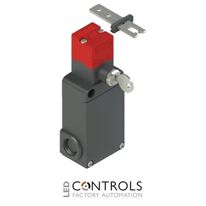 FS 2898D024-FM2 Pizzato FS series safety switch with separate actuator with lock