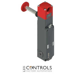 NG 2D7D411A-LP60 Pizzato NG series safety switch with lock