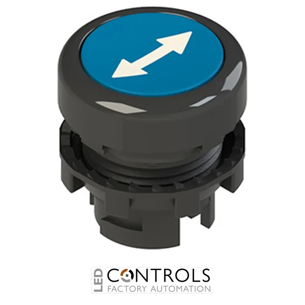 E2 1PU2R621L170 Pizzato Spring-return blue flush pushbutton with marking