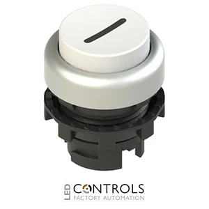 E2 1PL2S229L2 Pizzato Illuminated white projecting pushbutton with marking