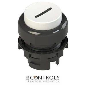 E2 1PL2S221L2 Pizzato Illuminated white projecting pushbutton with marking